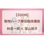 【ZOOM...